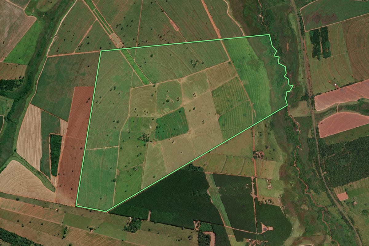 Imagem de satélite do imóvel rural em Estrela d'Oeste (SP), com o contorno declarado no CAR desenhado por cima.
