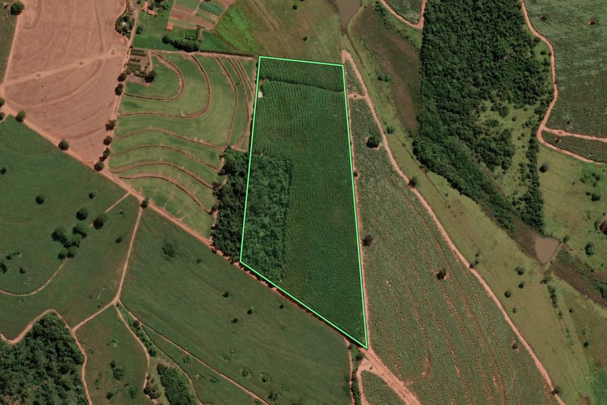 Imagem de satélite do imóvel rural em Estrela d'Oeste (SP), com o contorno declarado no CAR desenhado por cima.