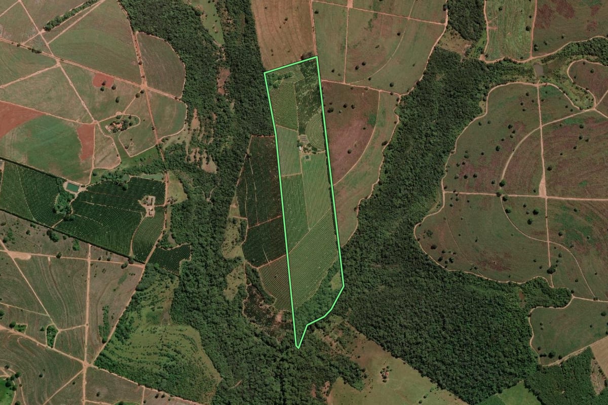 Imagem de satélite do imóvel rural em Estrela d'Oeste (SP), com o contorno declarado no CAR desenhado por cima.