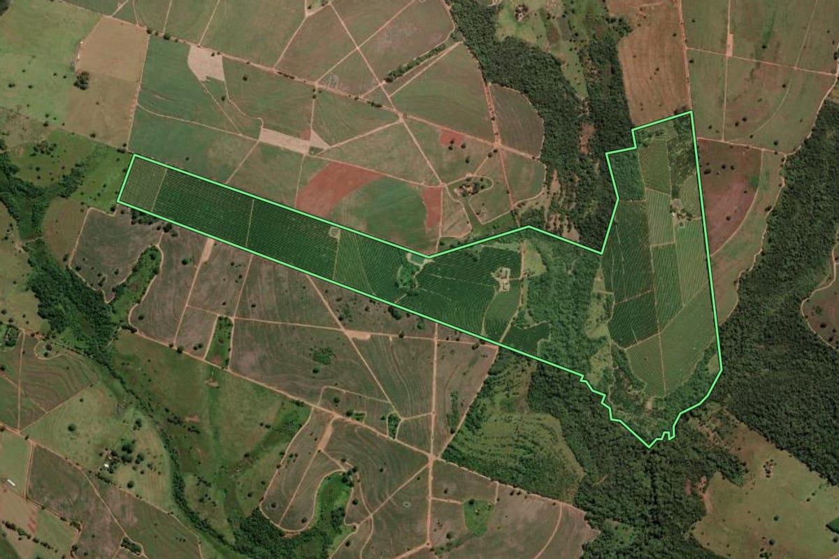 Imagem de satélite do imóvel rural em Estrela d'Oeste (SP), com o contorno declarado no CAR desenhado por cima.