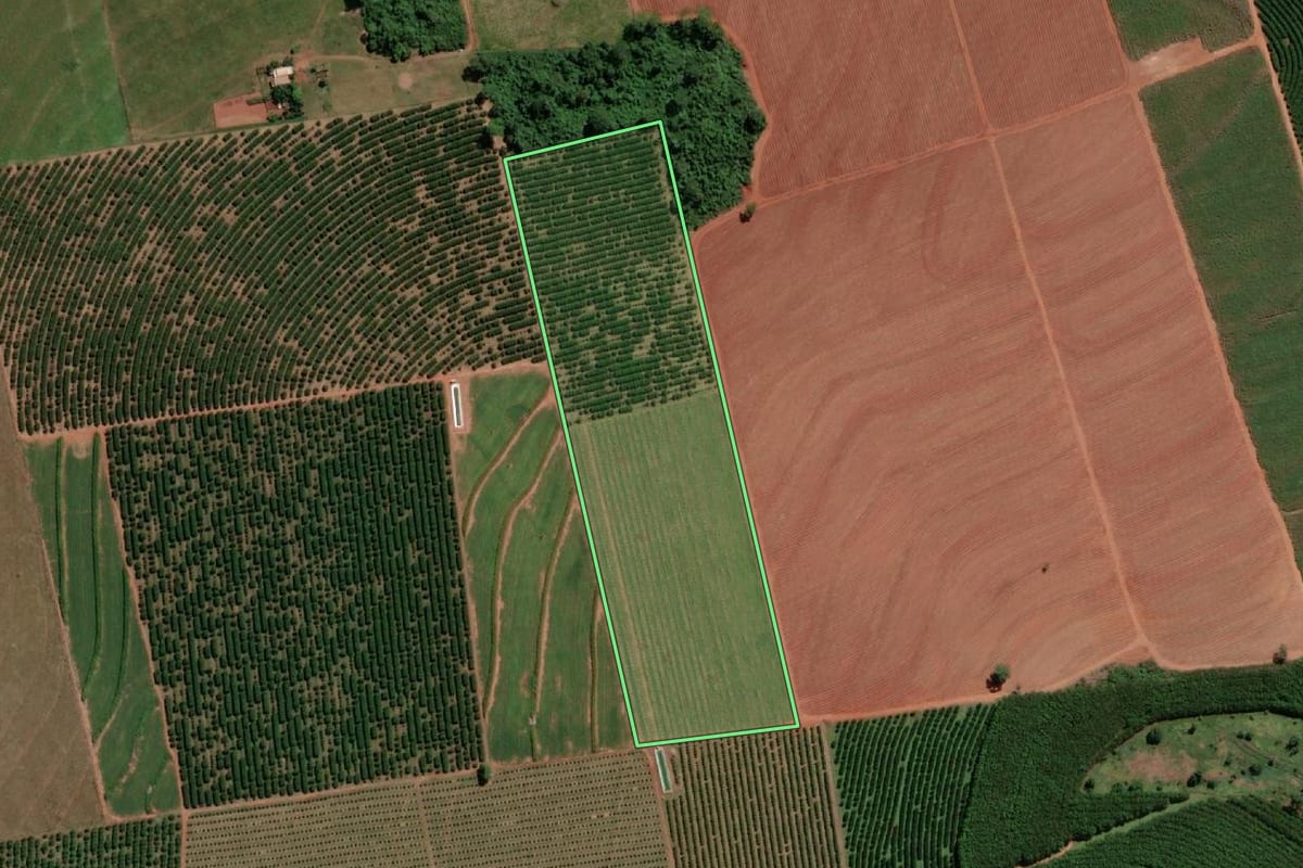 Imagem de satélite do imóvel rural em Estrela d'Oeste (SP), com o contorno declarado no CAR desenhado por cima.