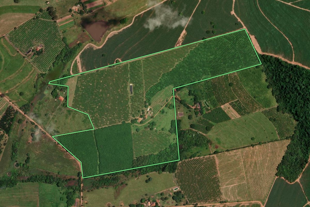 Imagem de satélite do imóvel rural em Estrela d'Oeste (SP), com o contorno declarado no CAR desenhado por cima.