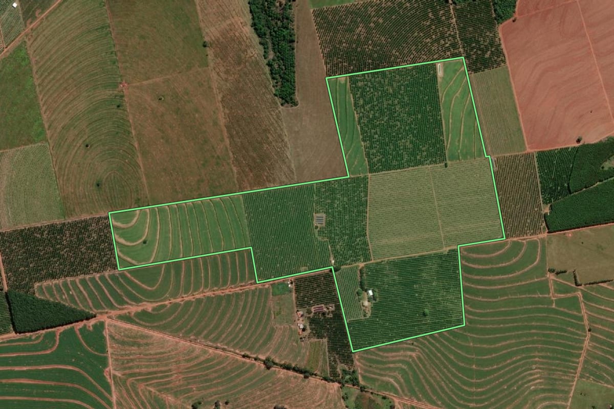 Imagem de satélite do imóvel rural em Estrela d'Oeste (SP), com o contorno declarado no CAR desenhado por cima.