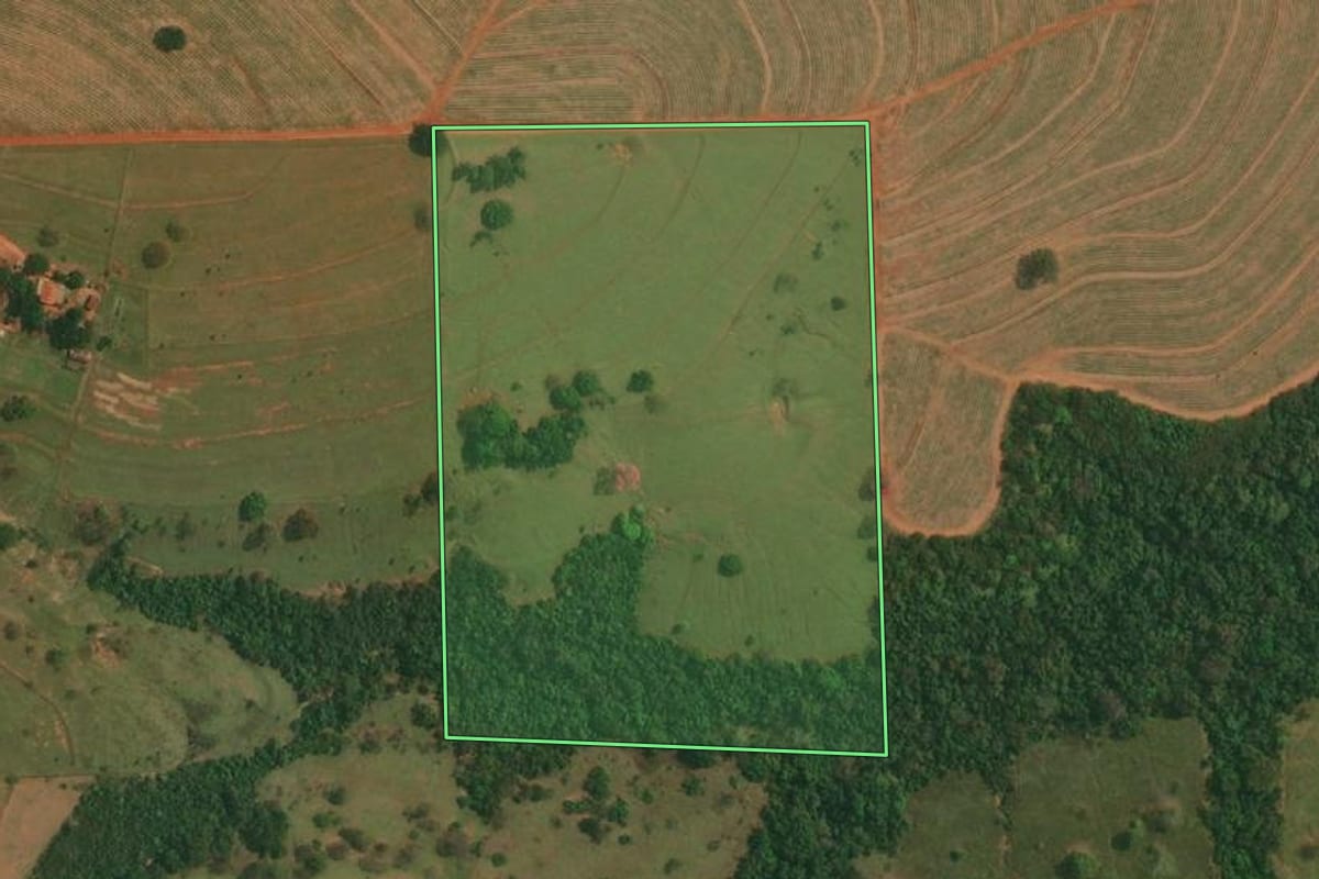 Imagem de satélite do imóvel rural em Estrela do Norte (SP), com o contorno declarado no CAR desenhado por cima.
