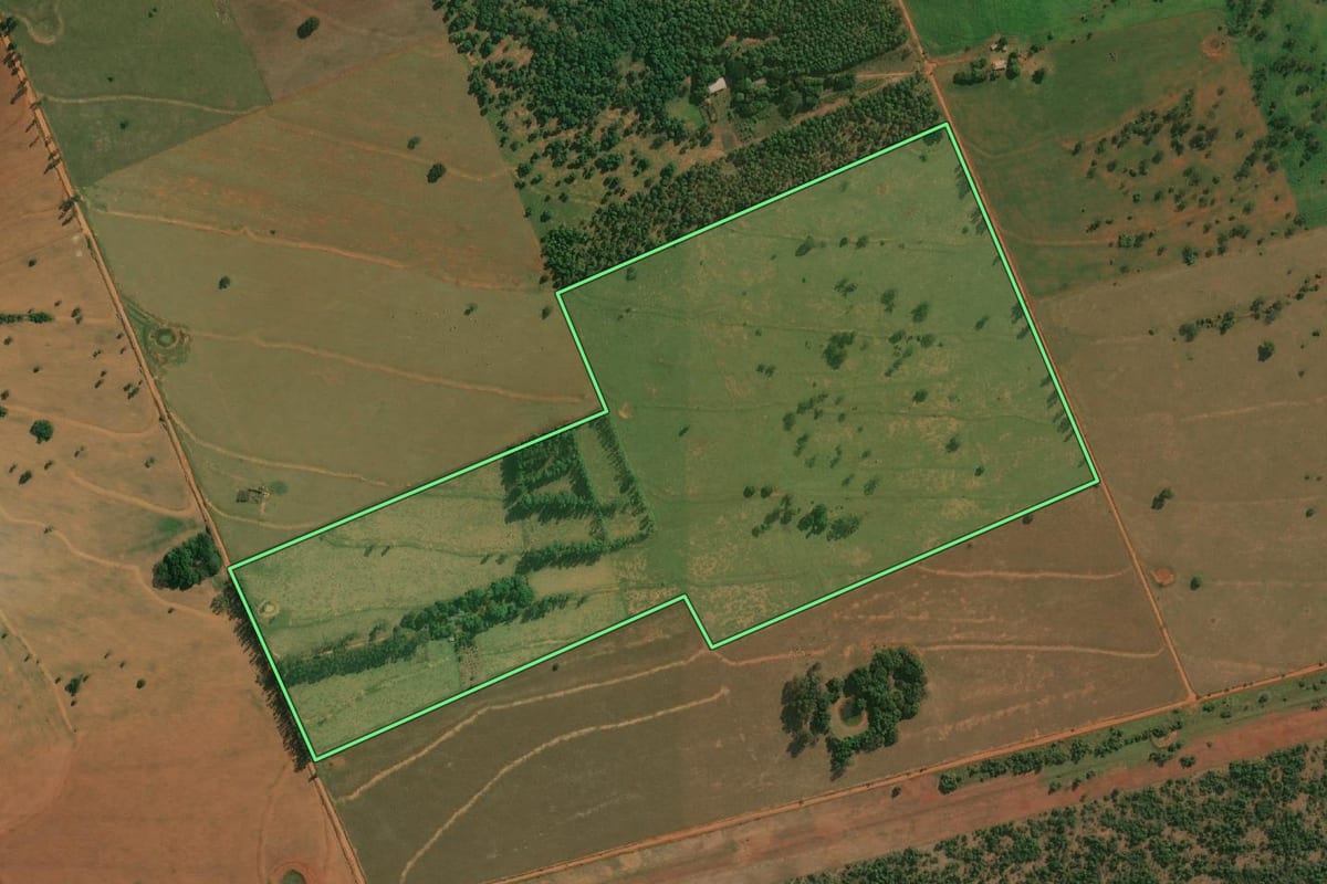 Imagem de satélite do imóvel rural em Euclides da Cunha Paulista (SP), com o contorno declarado no CAR desenhado por cima.