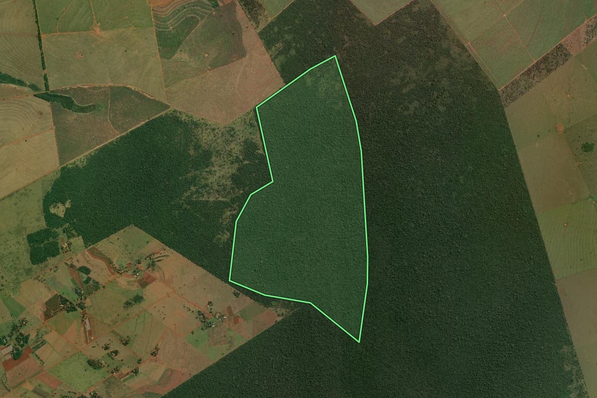 Imagem de satélite do imóvel rural em Euclides da Cunha Paulista (SP), com o contorno declarado no CAR desenhado por cima.