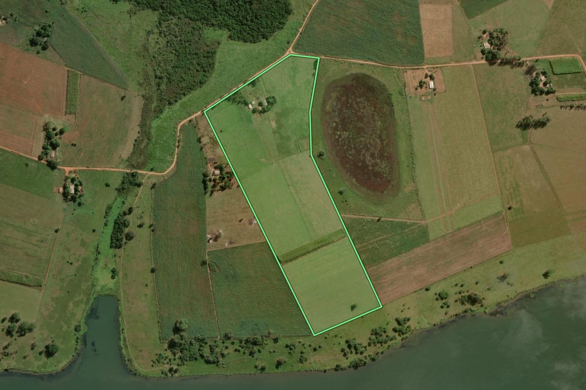 Imagem de satélite do imóvel rural em Euclides da Cunha Paulista (SP), com o contorno declarado no CAR desenhado por cima.