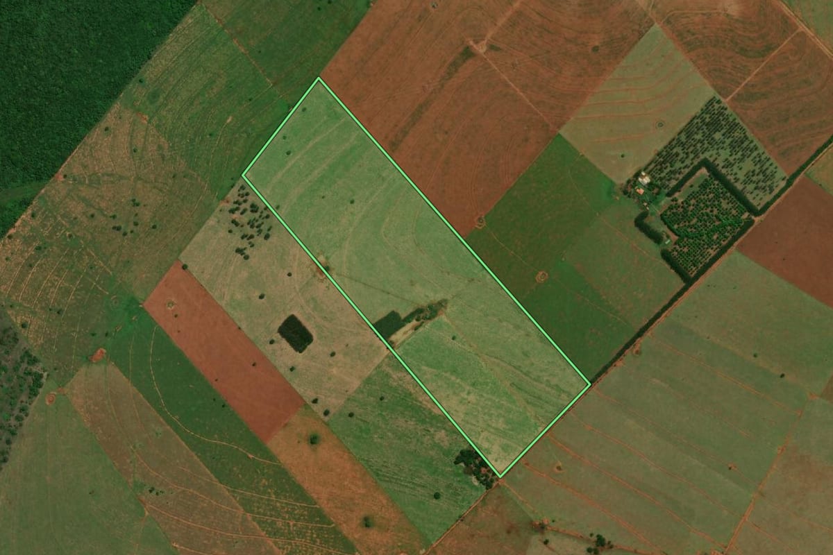 Imagem de satélite do imóvel rural em Euclides da Cunha Paulista (SP), com o contorno declarado no CAR desenhado por cima.