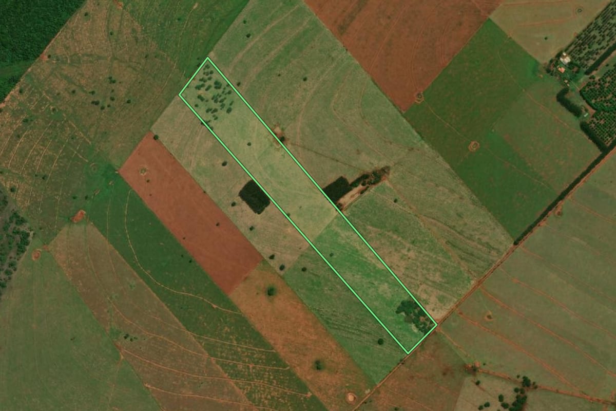 Imagem de satélite do imóvel rural em Euclides da Cunha Paulista (SP), com o contorno declarado no CAR desenhado por cima.