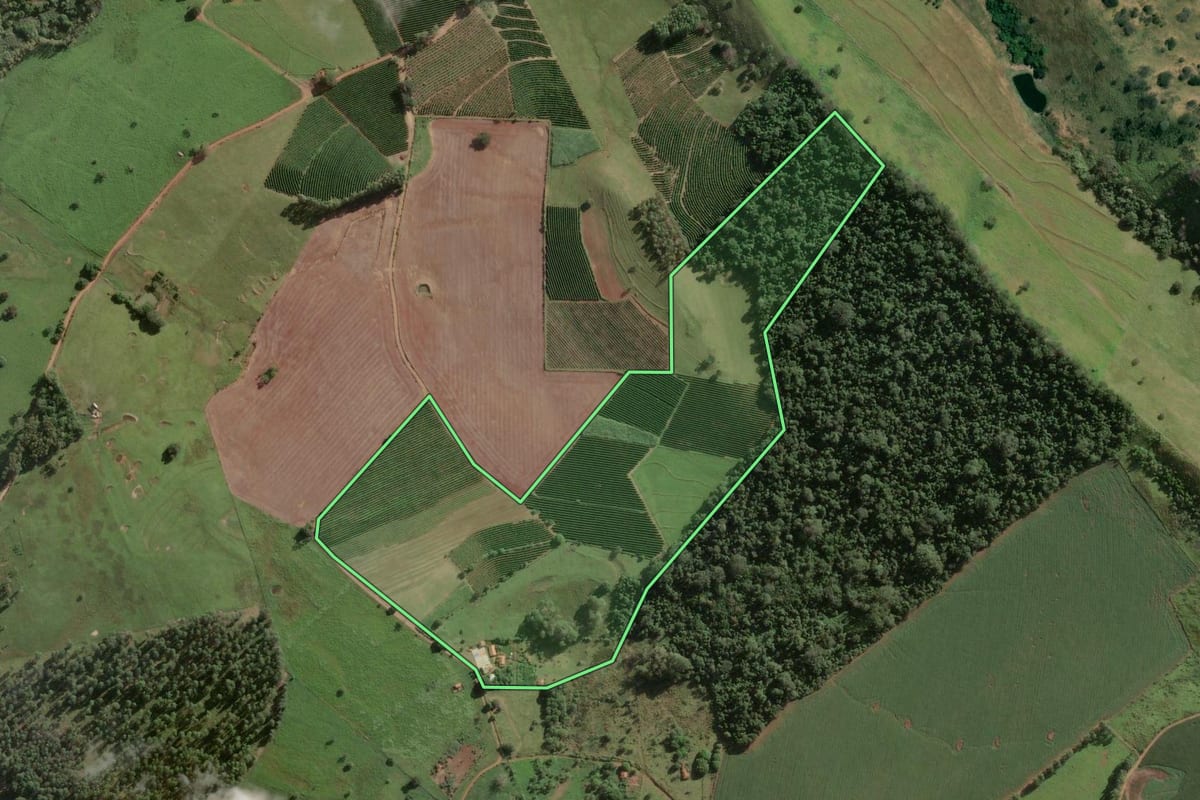 Imagem de satélite do imóvel rural em Fartura (SP), com o contorno declarado no CAR desenhado por cima.