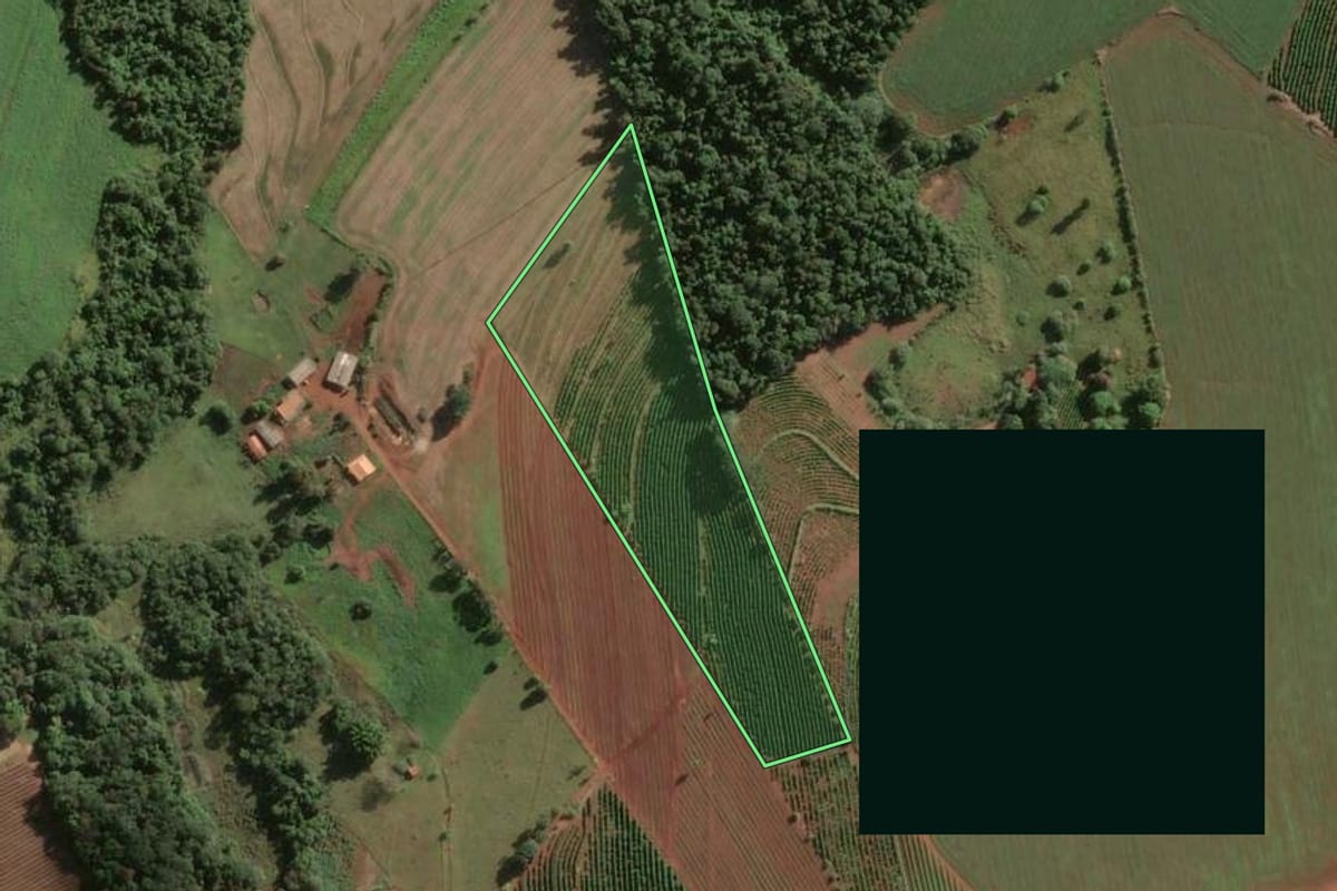 Imagem de satélite do imóvel rural em Fartura (SP), com o contorno declarado no CAR desenhado por cima.