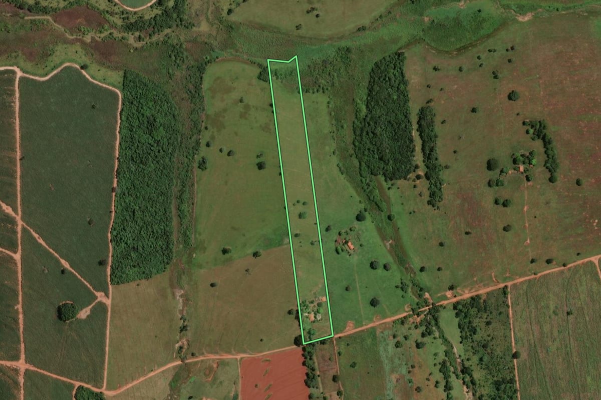 Imagem de satélite do imóvel rural em Fernandópolis (SP), com o contorno declarado no CAR desenhado por cima.