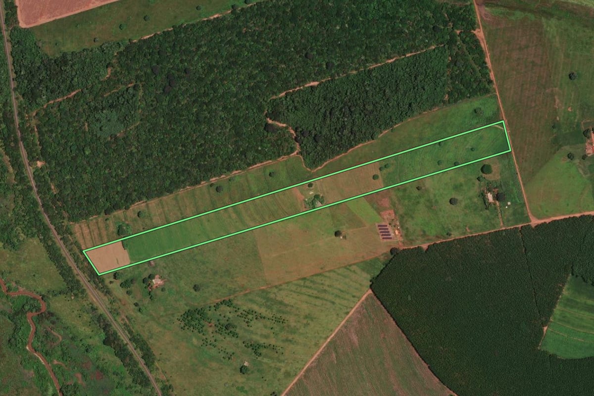 Imagem de satélite do imóvel rural em Fernandópolis (SP), com o contorno declarado no CAR desenhado por cima.