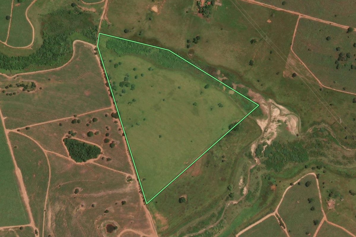 Imagem de satélite do imóvel rural em Fernandópolis (SP), com o contorno declarado no CAR desenhado por cima.