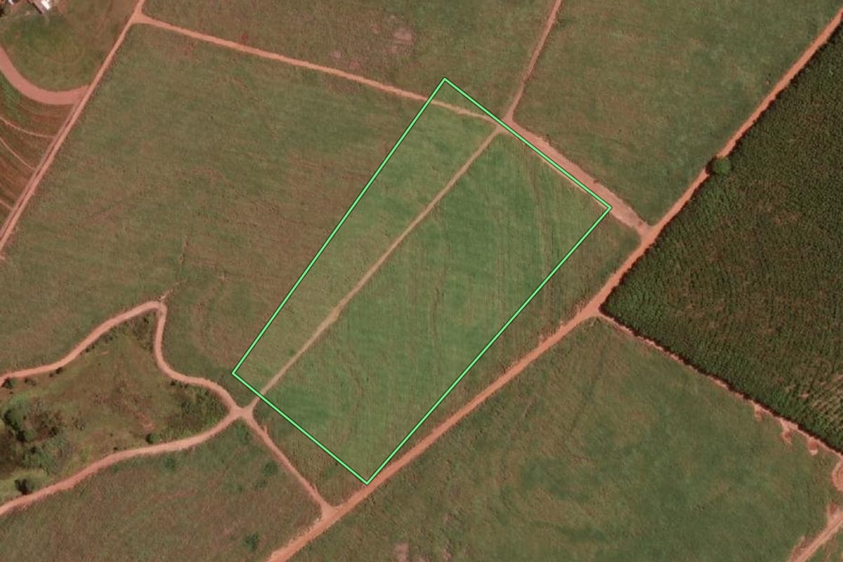 Imagem de satélite do imóvel rural em Fernandópolis (SP), com o contorno declarado no CAR desenhado por cima.