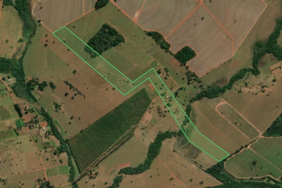 Imagem de satélite do imóvel rural em Fernandópolis (SP), com o contorno declarado no CAR desenhado por cima.