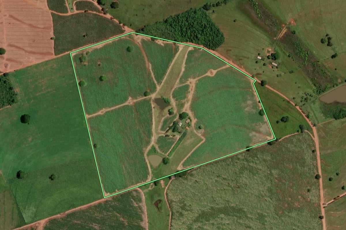 Imagem de satélite do imóvel rural em Fernandópolis (SP), com o contorno declarado no CAR desenhado por cima.