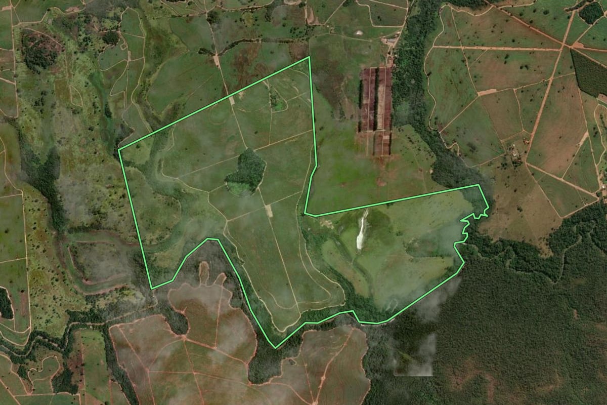 Imagem de satélite do imóvel rural em Fernandópolis (SP), com o contorno declarado no CAR desenhado por cima.