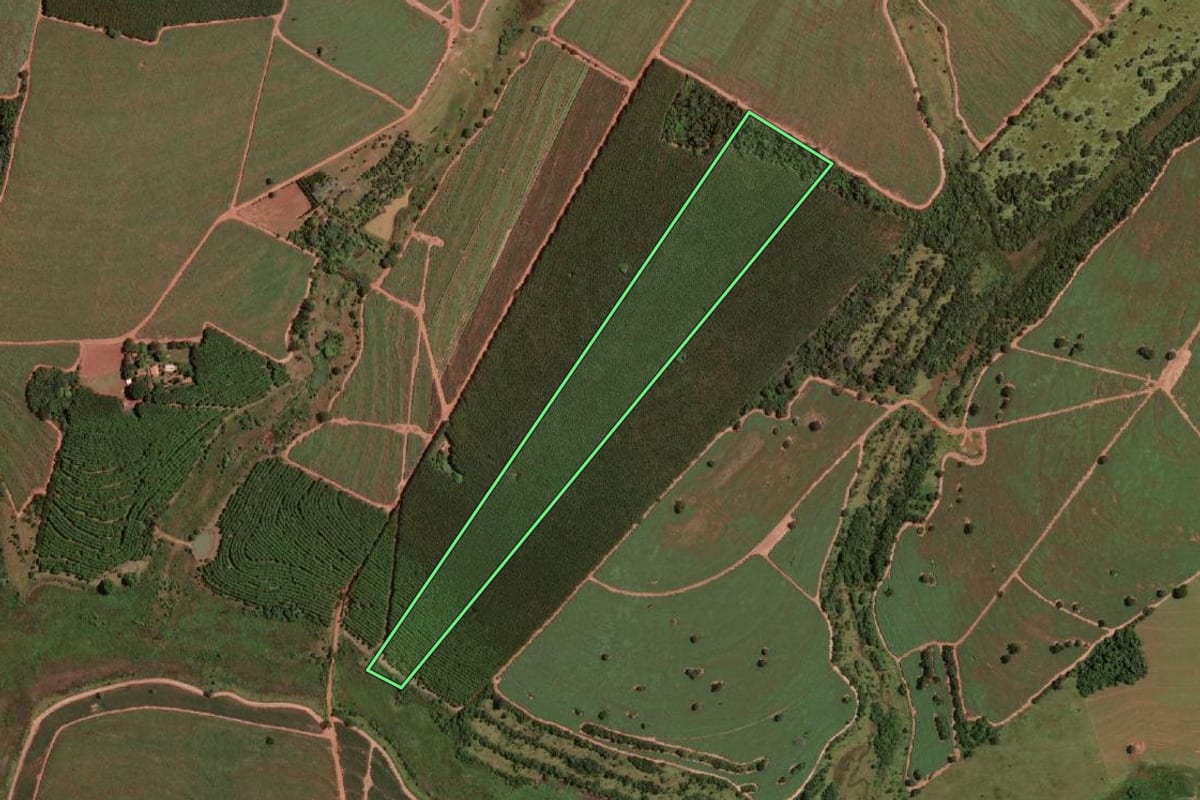 Imagem de satélite do imóvel rural em Fernandópolis (SP), com o contorno declarado no CAR desenhado por cima.