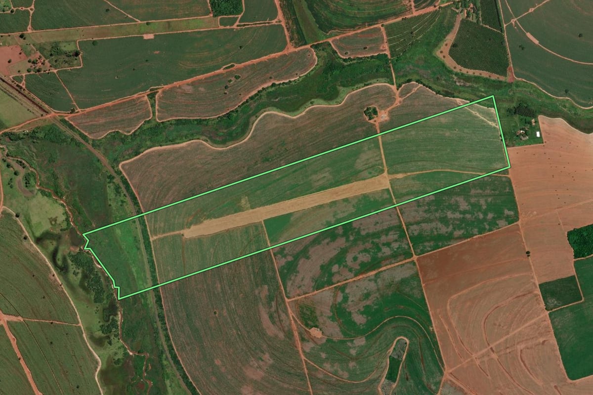 Imagem de satélite do imóvel rural em Fernandópolis (SP), com o contorno declarado no CAR desenhado por cima.