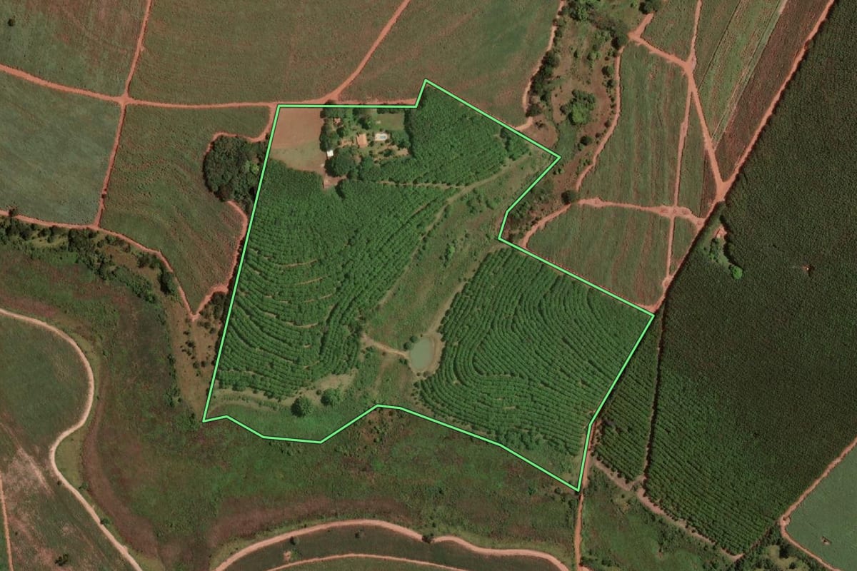Imagem de satélite do imóvel rural em Fernandópolis (SP), com o contorno declarado no CAR desenhado por cima.
