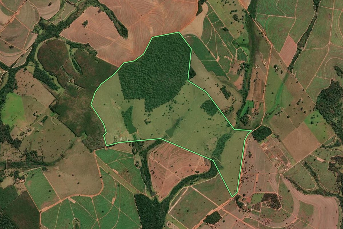 Imagem de satélite do imóvel rural em Fernandópolis (SP), com o contorno declarado no CAR desenhado por cima.
