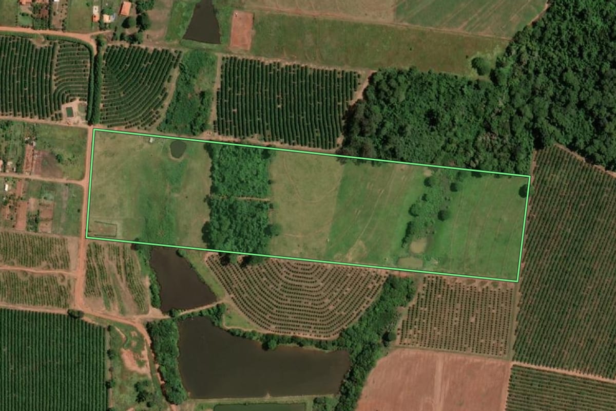 Imagem de satélite do imóvel rural em Fernandópolis (SP), com o contorno declarado no CAR desenhado por cima.
