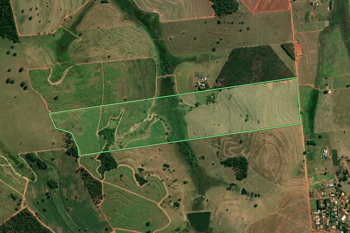Imagem de satélite do imóvel rural em Fernandópolis (SP), com o contorno declarado no CAR desenhado por cima.