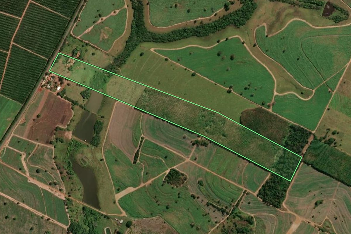 Imagem de satélite do imóvel rural em Fernandópolis (SP), com o contorno declarado no CAR desenhado por cima.
