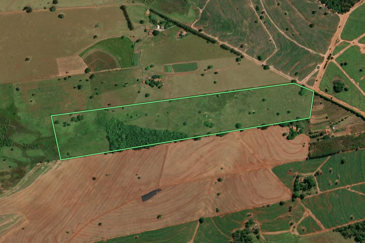 Imagem de satélite do imóvel rural em Fernandópolis (SP), com o contorno declarado no CAR desenhado por cima.