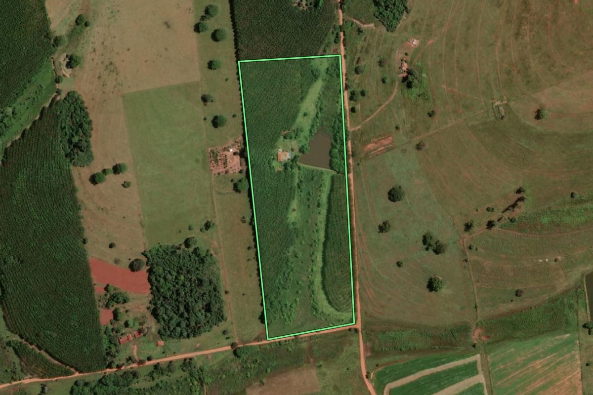 Imagem de satélite do imóvel rural em Fernandópolis (SP), com o contorno declarado no CAR desenhado por cima.