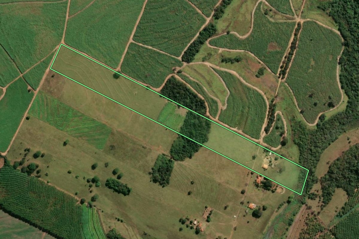 Imagem de satélite do imóvel rural em Fernandópolis (SP), com o contorno declarado no CAR desenhado por cima.