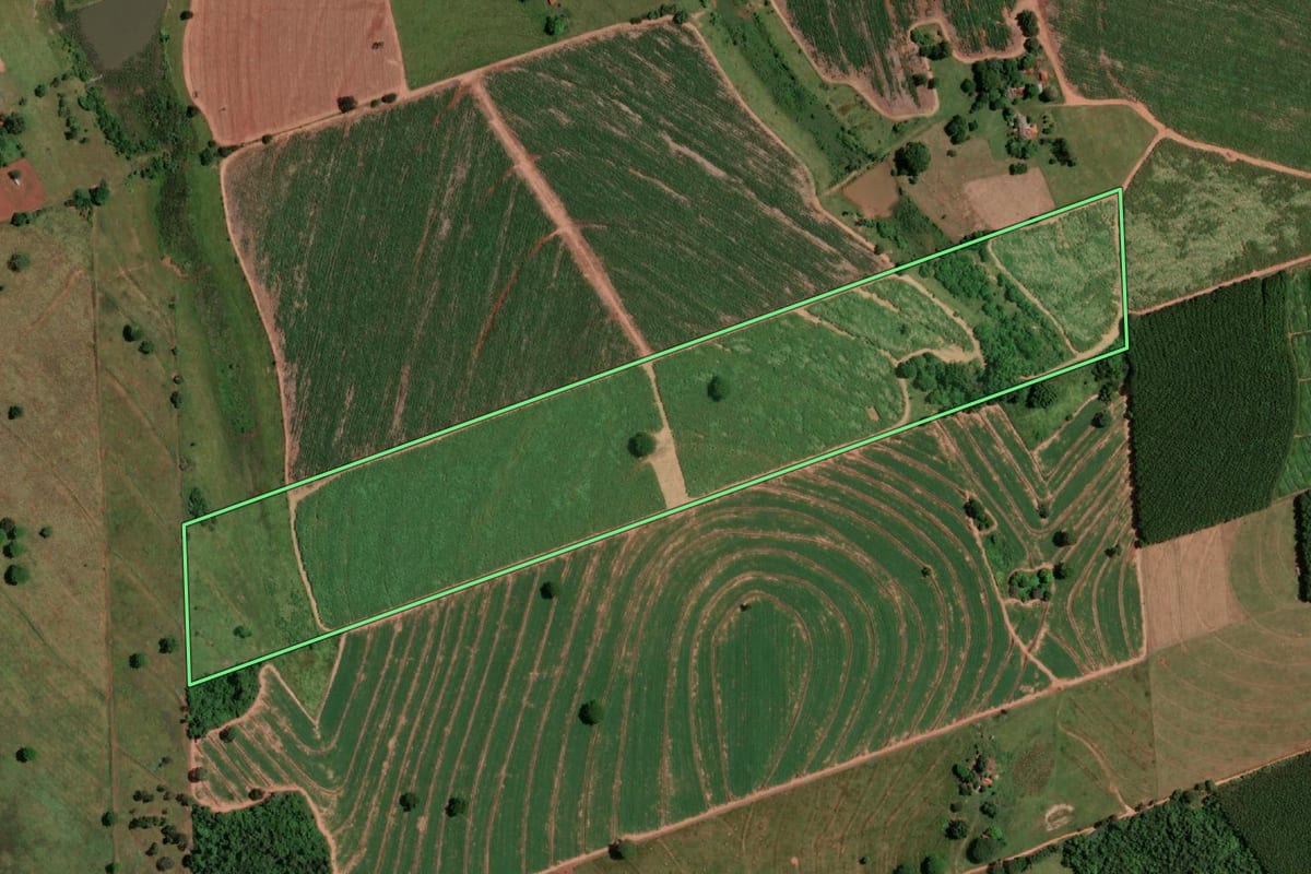 Imagem de satélite do imóvel rural em Fernandópolis (SP), com o contorno declarado no CAR desenhado por cima.