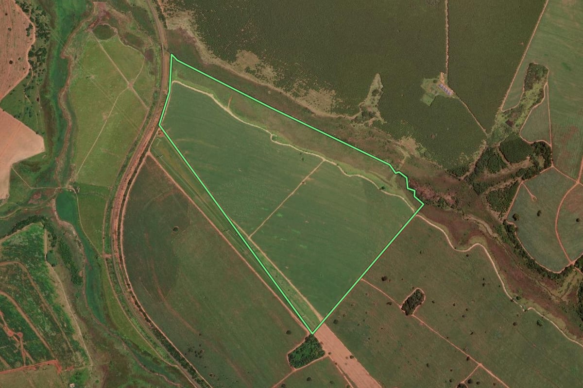 Imagem de satélite do imóvel rural em Fernandópolis (SP), com o contorno declarado no CAR desenhado por cima.