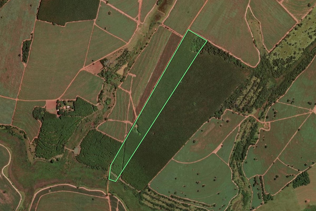 Imagem de satélite do imóvel rural em Fernandópolis (SP), com o contorno declarado no CAR desenhado por cima.