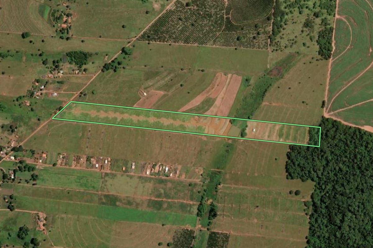 Imagem de satélite do imóvel rural em Fernandópolis (SP), com o contorno declarado no CAR desenhado por cima.