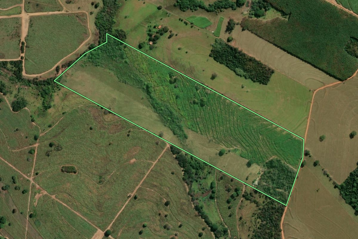 Imagem de satélite do imóvel rural em Fernandópolis (SP), com o contorno declarado no CAR desenhado por cima.