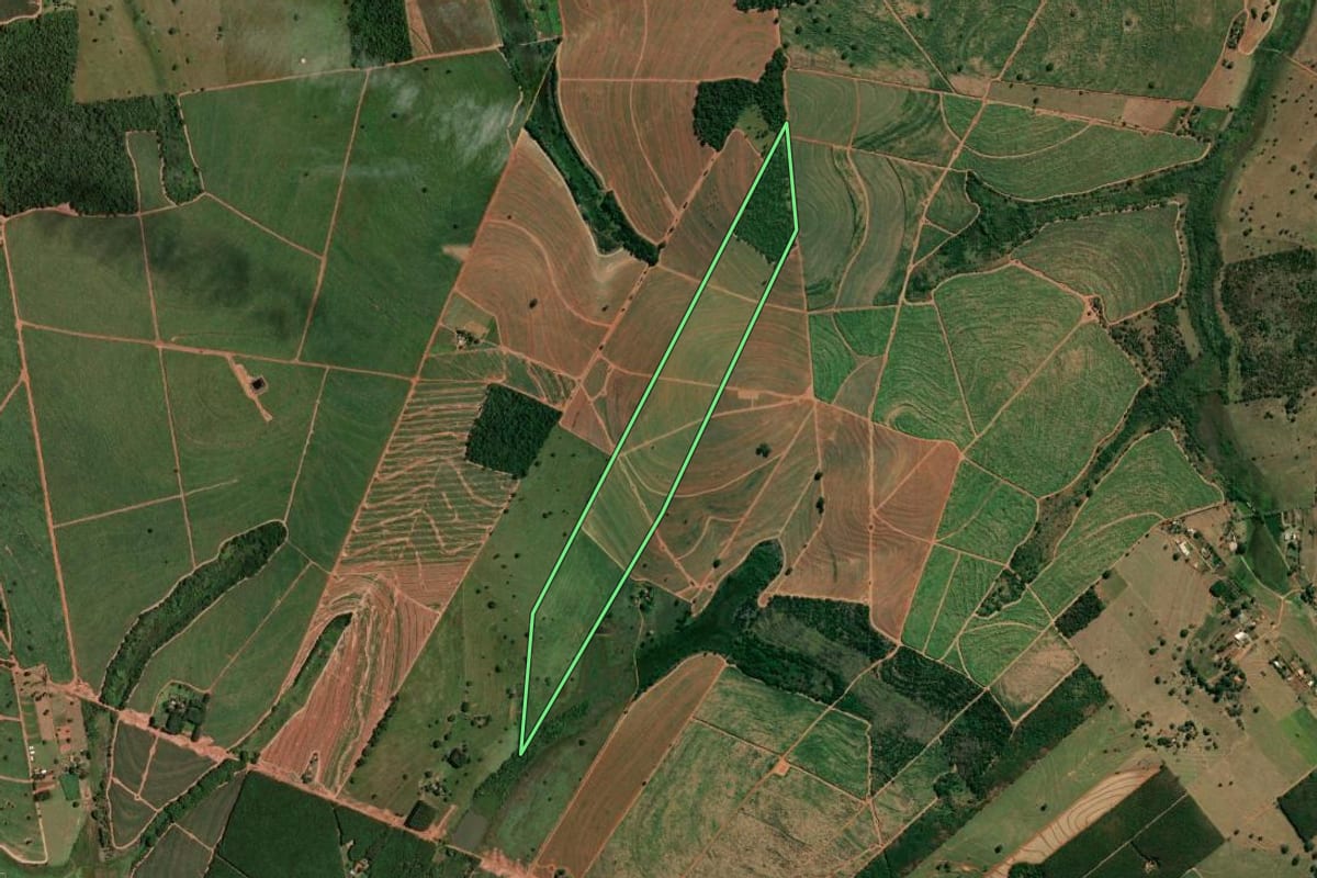 Imagem de satélite do imóvel rural em Fernandópolis (SP), com o contorno declarado no CAR desenhado por cima.