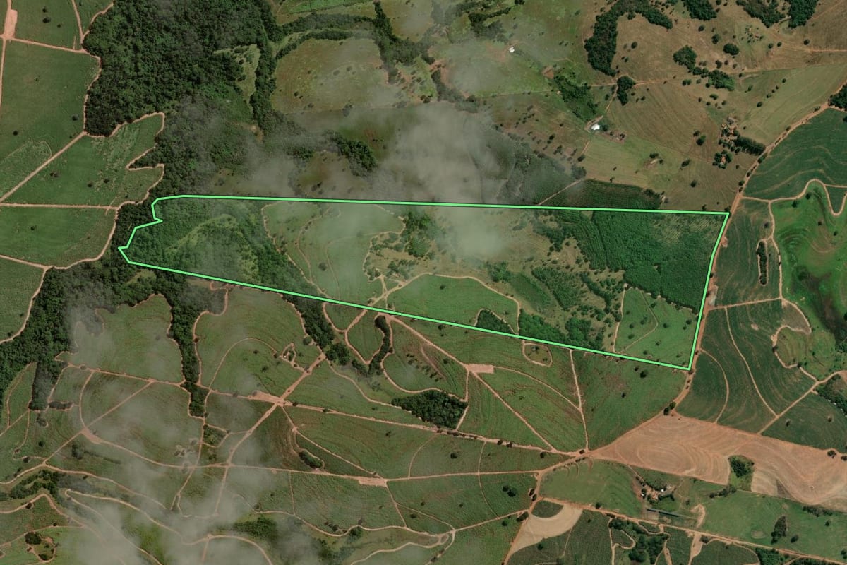 Imagem de satélite do imóvel rural em Fernandópolis (SP), com o contorno declarado no CAR desenhado por cima.