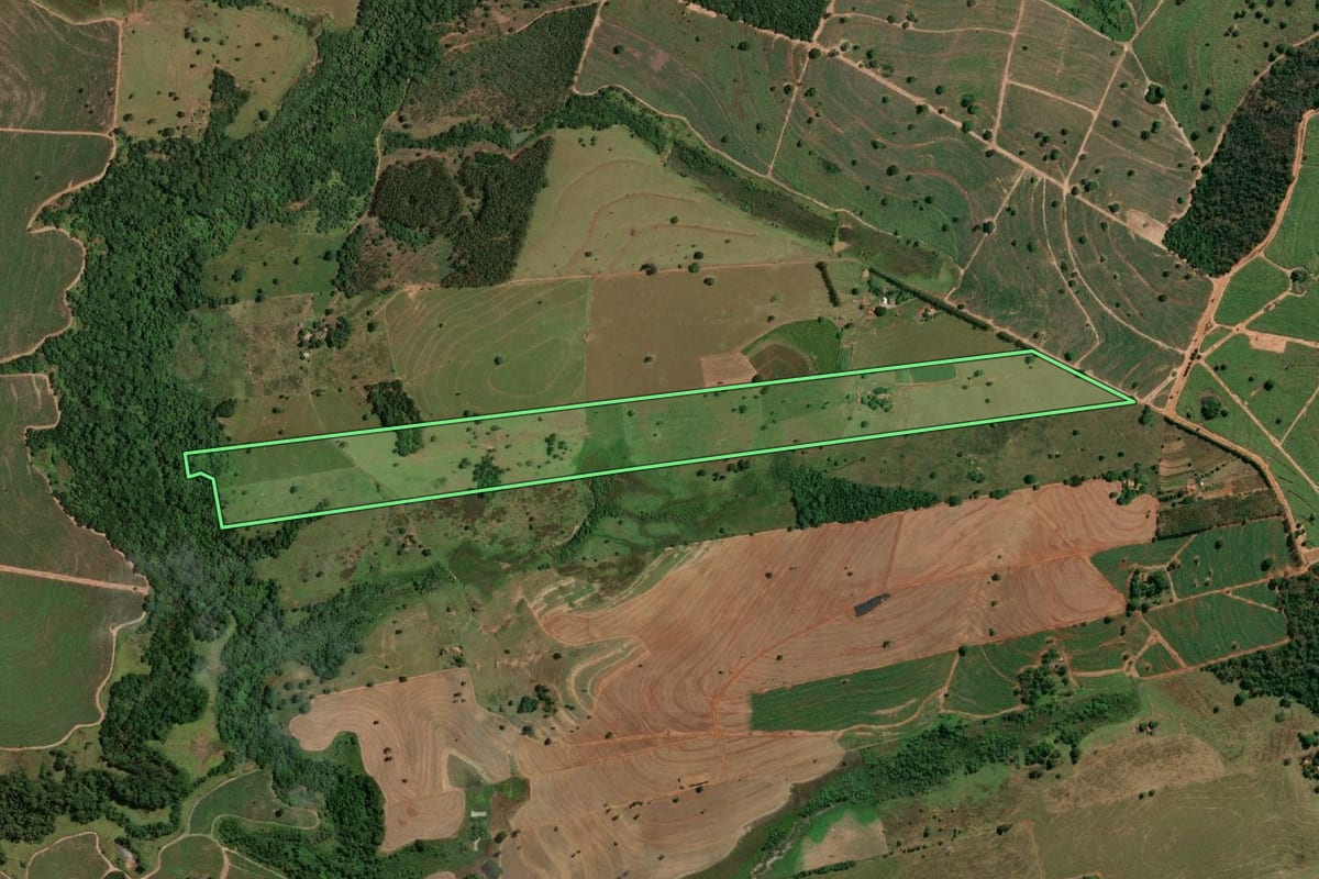 Imagem de satélite do imóvel rural em Fernandópolis (SP), com o contorno declarado no CAR desenhado por cima.