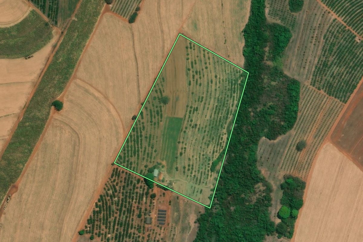 Imagem de satélite do imóvel rural em Fernando Prestes (SP), com o contorno declarado no CAR desenhado por cima.