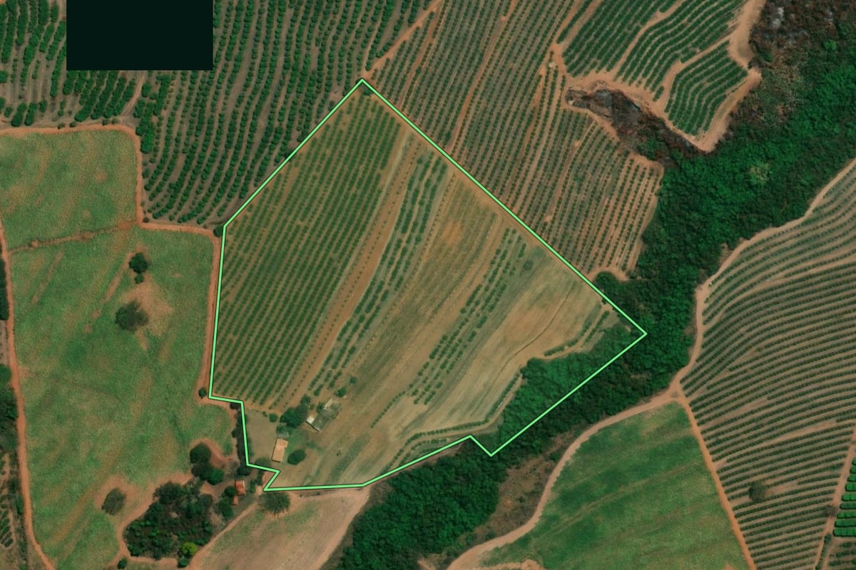 Imagem de satélite do imóvel rural em Fernando Prestes (SP), com o contorno declarado no CAR desenhado por cima.