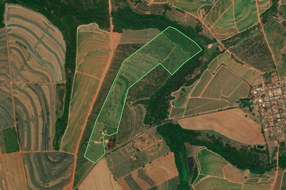 Imagem de satélite do imóvel rural em Fernando Prestes (SP), com o contorno declarado no CAR desenhado por cima.