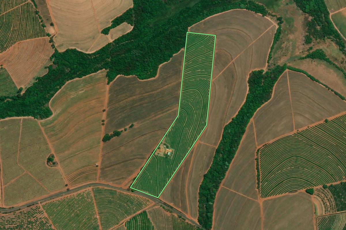Imagem de satélite do imóvel rural em Fernando Prestes (SP), com o contorno declarado no CAR desenhado por cima.