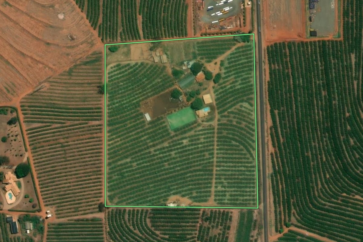 Imagem de satélite do imóvel rural em Fernando Prestes (SP), com o contorno declarado no CAR desenhado por cima.