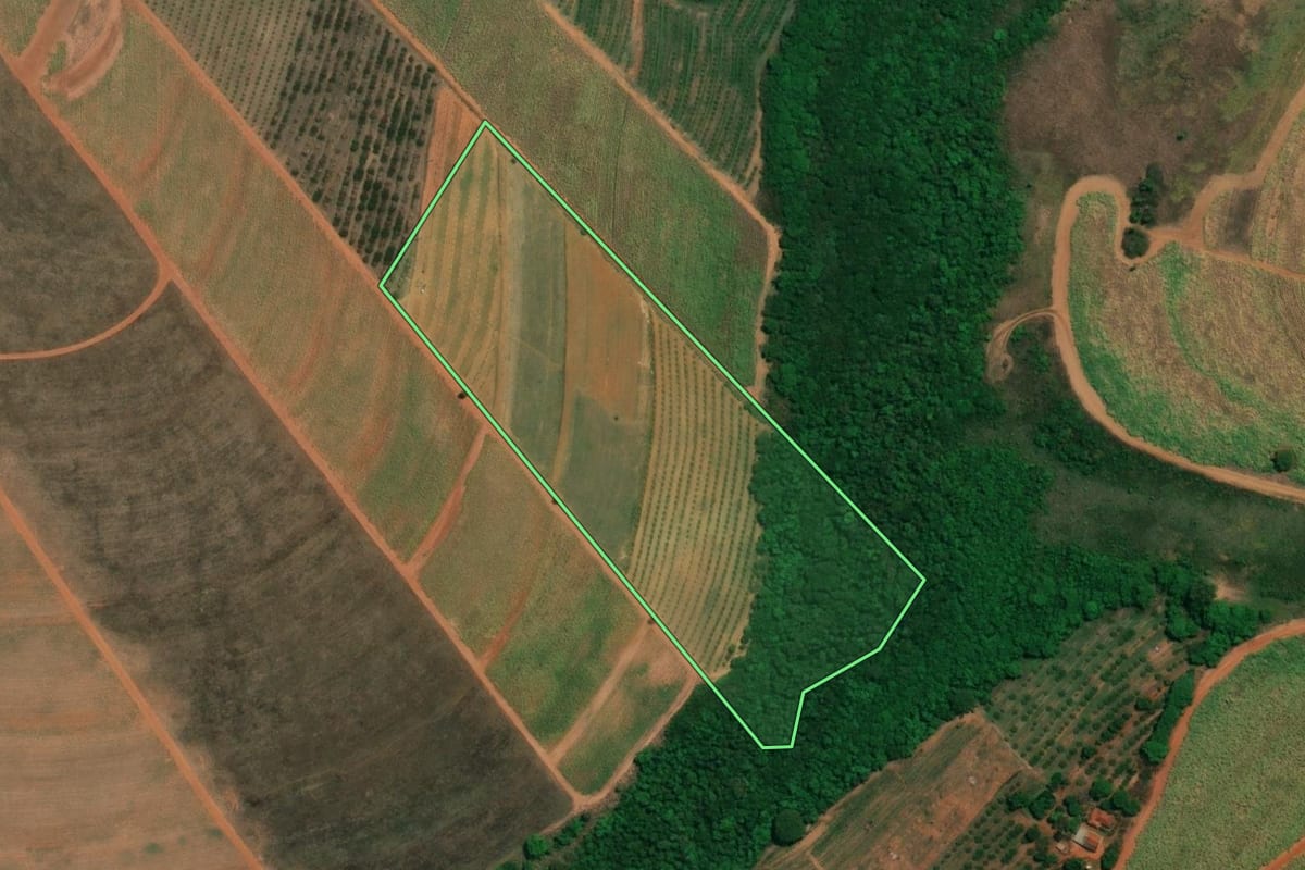 Imagem de satélite do imóvel rural em Fernando Prestes (SP), com o contorno declarado no CAR desenhado por cima.