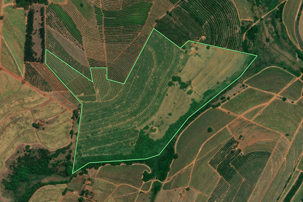Imagem de satélite do imóvel rural em Fernando Prestes (SP), com o contorno declarado no CAR desenhado por cima.