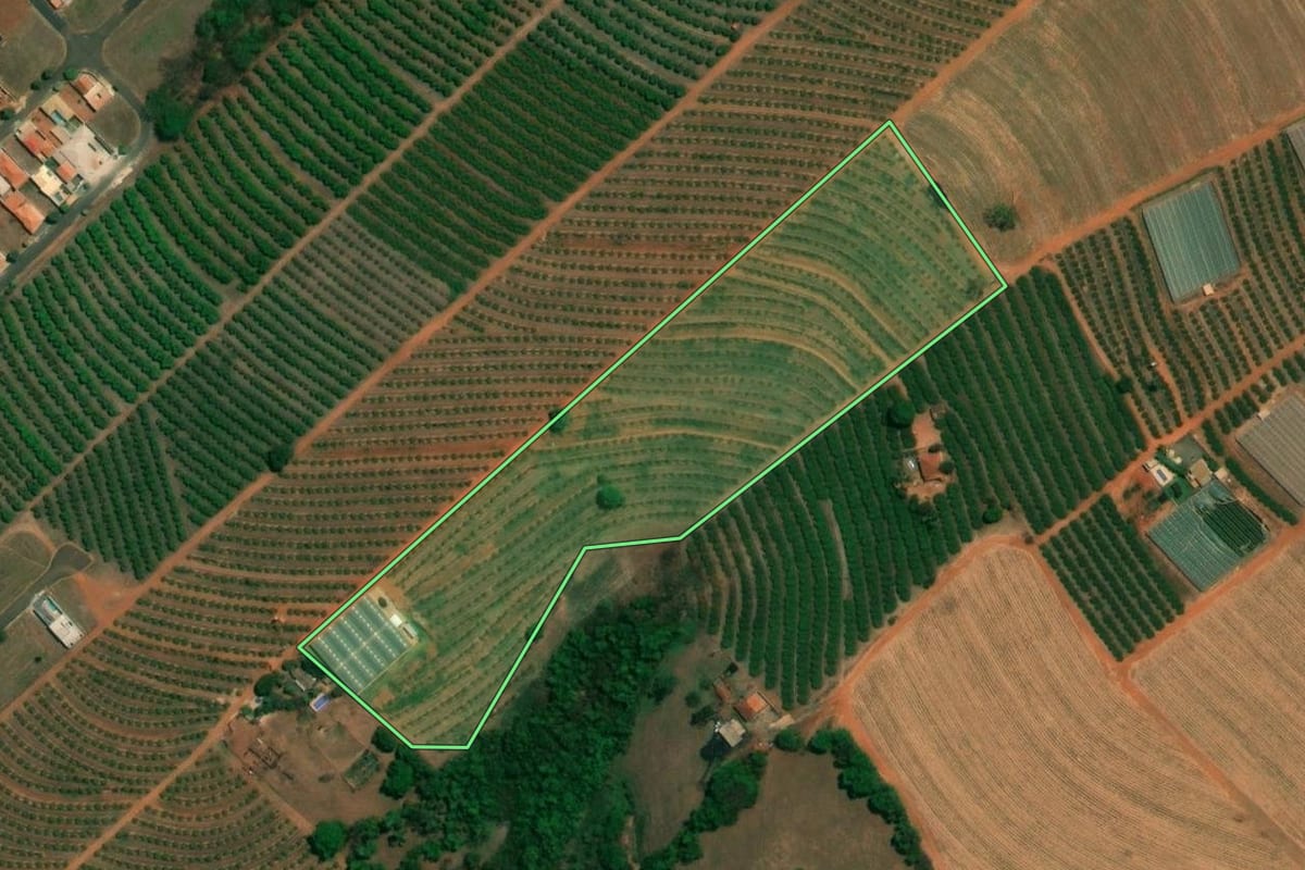 Imagem de satélite do imóvel rural em Fernando Prestes (SP), com o contorno declarado no CAR desenhado por cima.