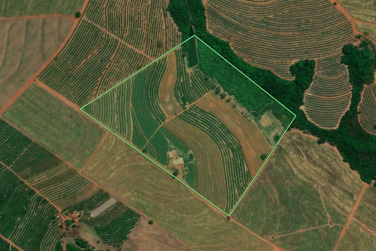 Imagem de satélite do imóvel rural em Fernando Prestes (SP), com o contorno declarado no CAR desenhado por cima.