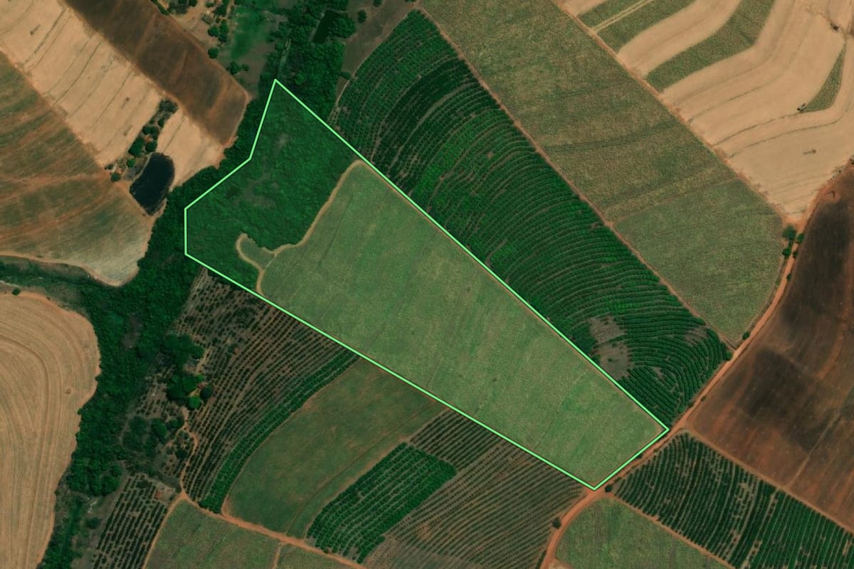 Imagem de satélite do imóvel rural em Fernando Prestes (SP), com o contorno declarado no CAR desenhado por cima.